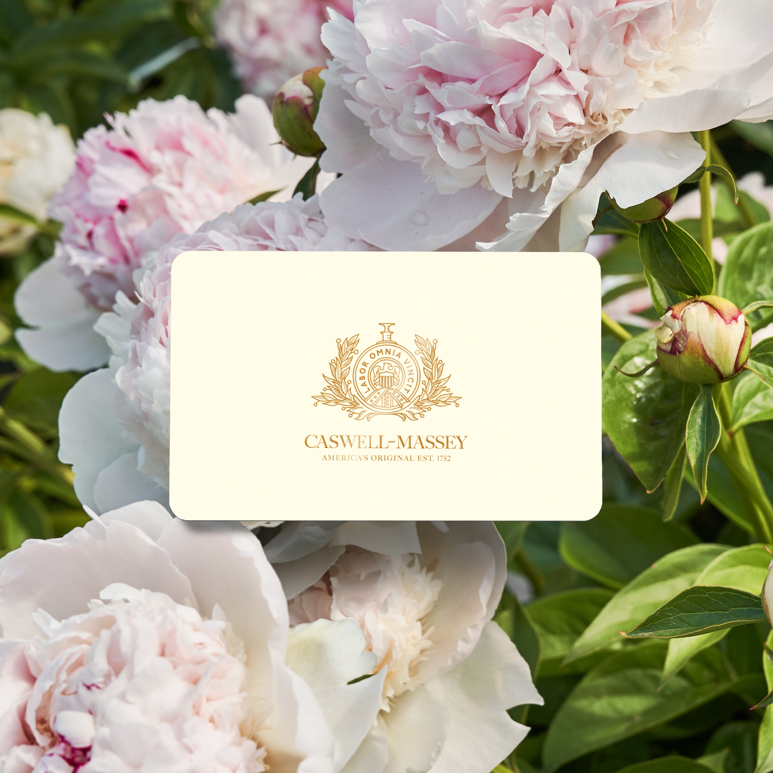 E-Gift Cards Gift Cards Caswell-Massey®