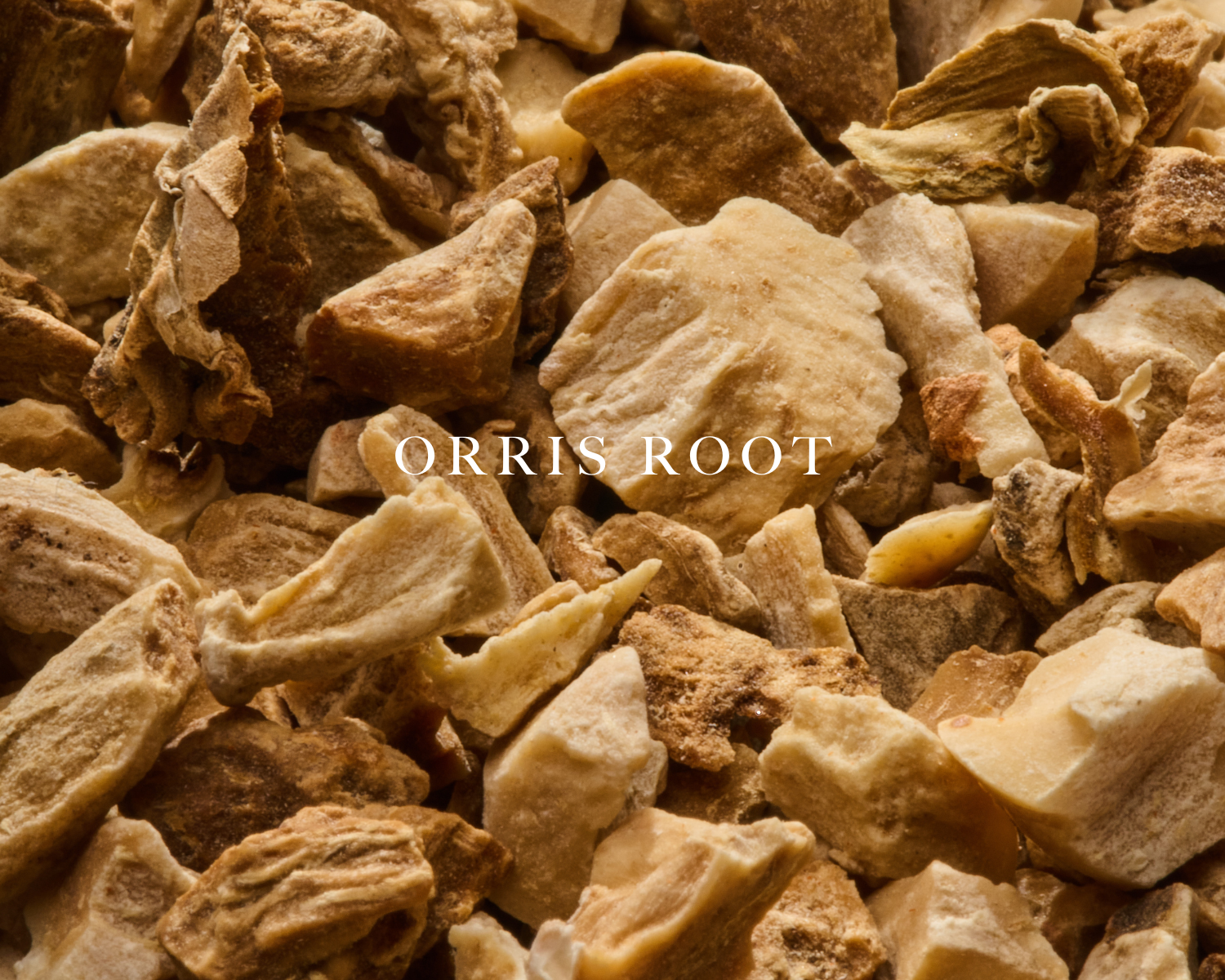 Caswell-Massey 2571 Eau de Parfum: image of orris root